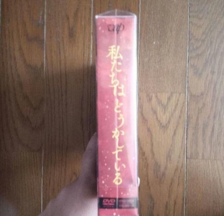 新品未開封 私たちはどうかしている DVD-BOX〈5枚組〉