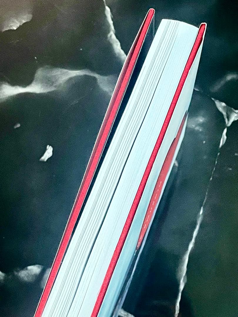 GUY BOURDIN A Message For You 写真集