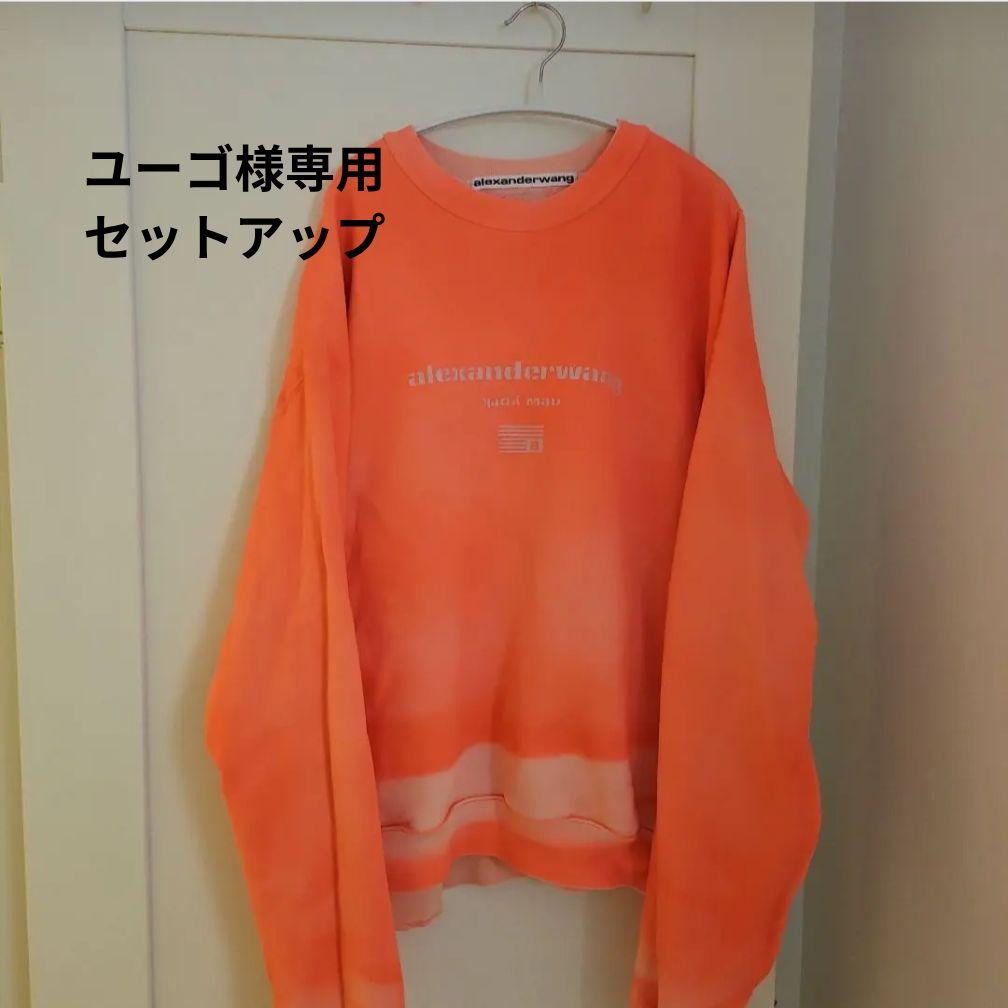 ユーゴ　セットアップ