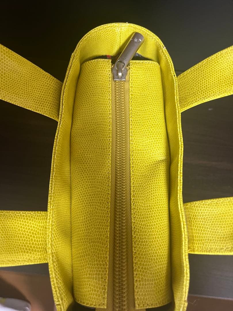 専用です❗️新品未使用‼️ロッディオプレミアムカートバック