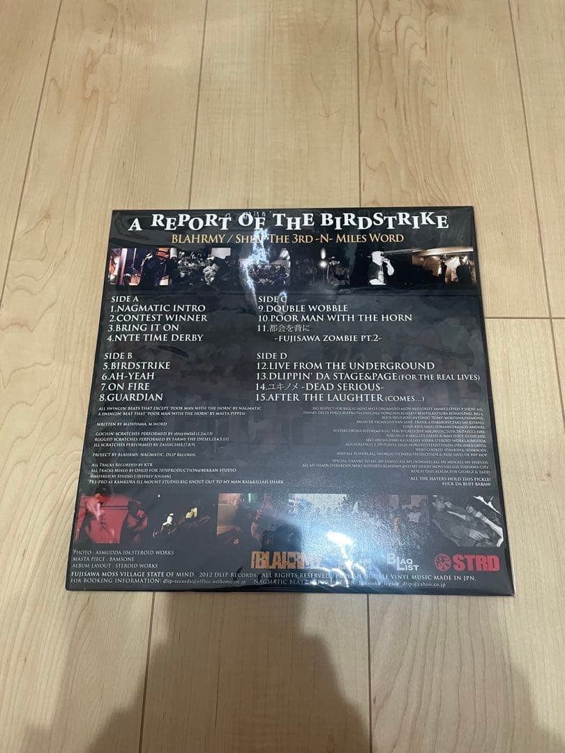 BLAHRMY A REPORT OF THE BIRDSTRIKE ブラーミー