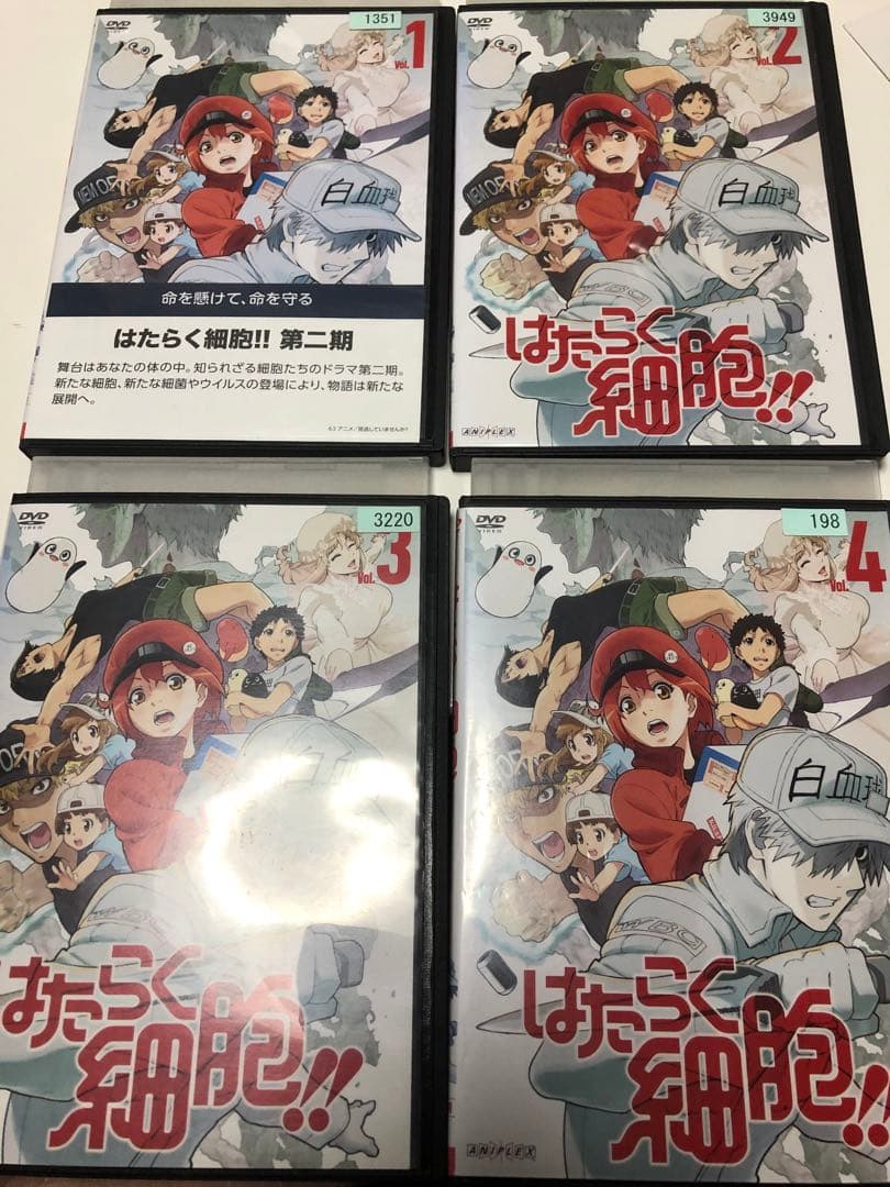 はたらく細胞　2期　《レンタル落ちDVD》