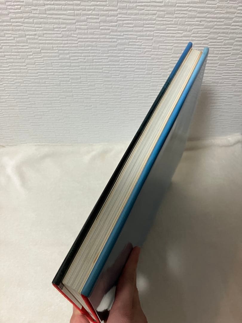 写真集 中国万華 久保田博ニ序・陳舜臣 TBSブリタニカ