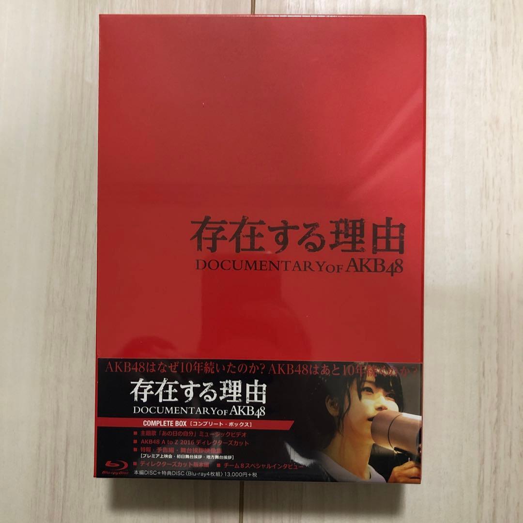 【新品未開封】Documentary of AKB48 存在する理由