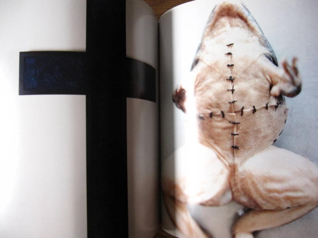 Cross　Kelly 　ケリー・クレイン