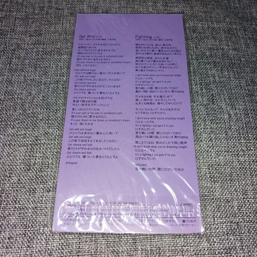 【激レア新品未開封】TM NETWORK/Get Wild シティハンター