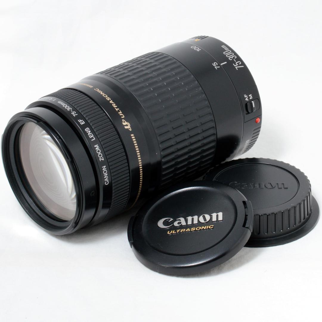 ⭐️実用品⭐️Canon キャノン EF 75-300mm F4-5.6 USM