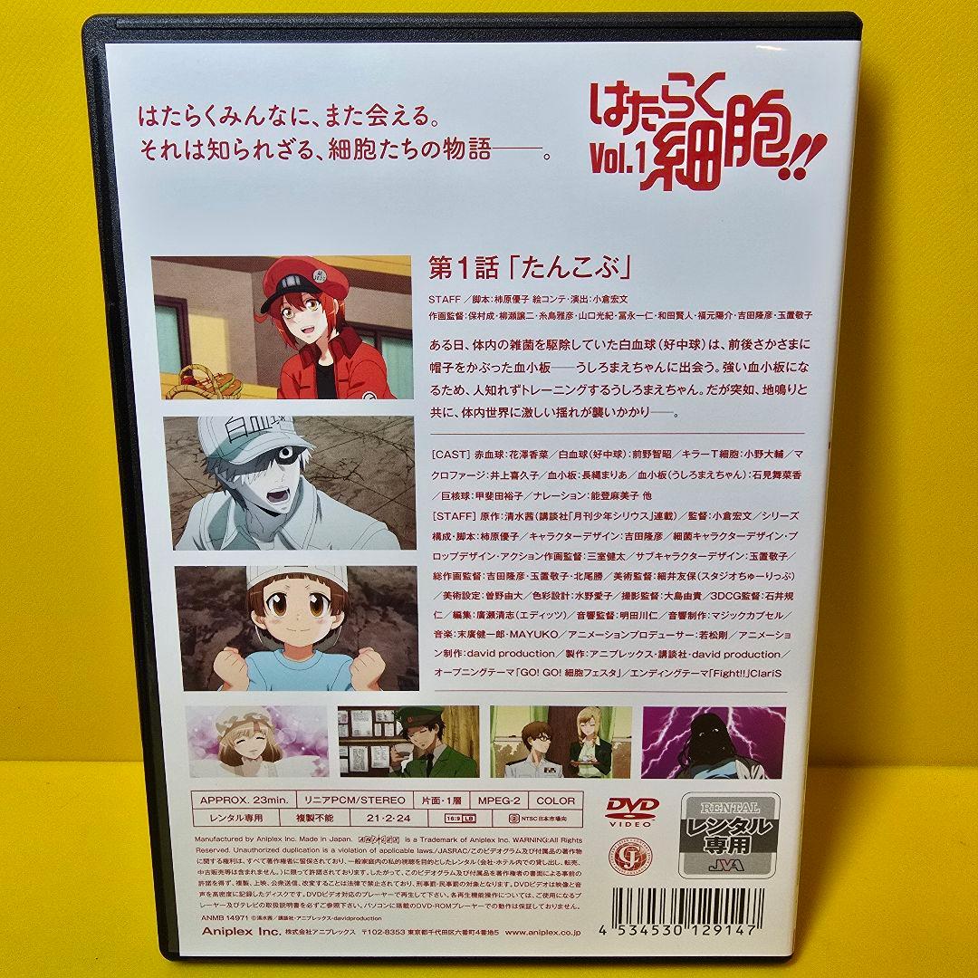 新品ケース交換済み　はたらく細胞 !! 　2期　DVD全4巻