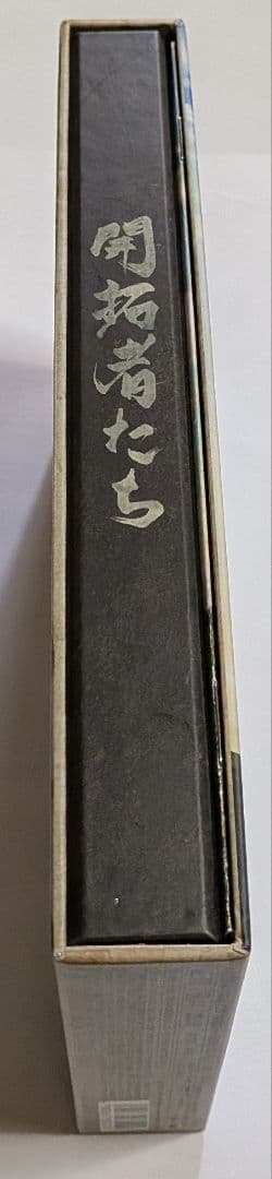 開拓者たち DVD BOX レア 満島ひかり 石田卓也 綾野剛