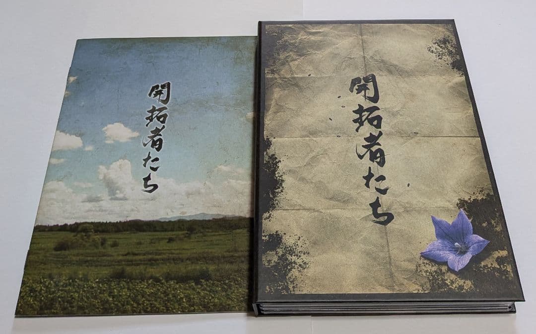 開拓者たち DVD BOX レア 満島ひかり 石田卓也 綾野剛