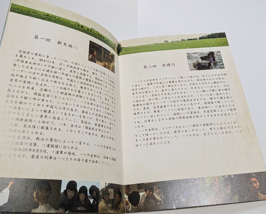 開拓者たち DVD BOX レア 満島ひかり 石田卓也 綾野剛