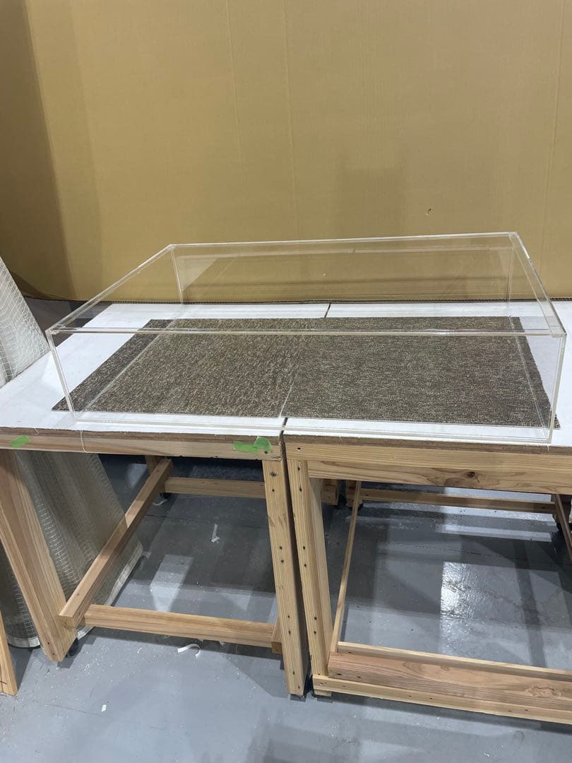 アクリル水槽4mmクリア、かっち。