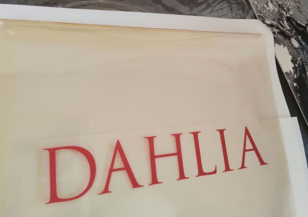 X JAPAN DAHLIA LP アナログ レコード 【初回生産限定 】