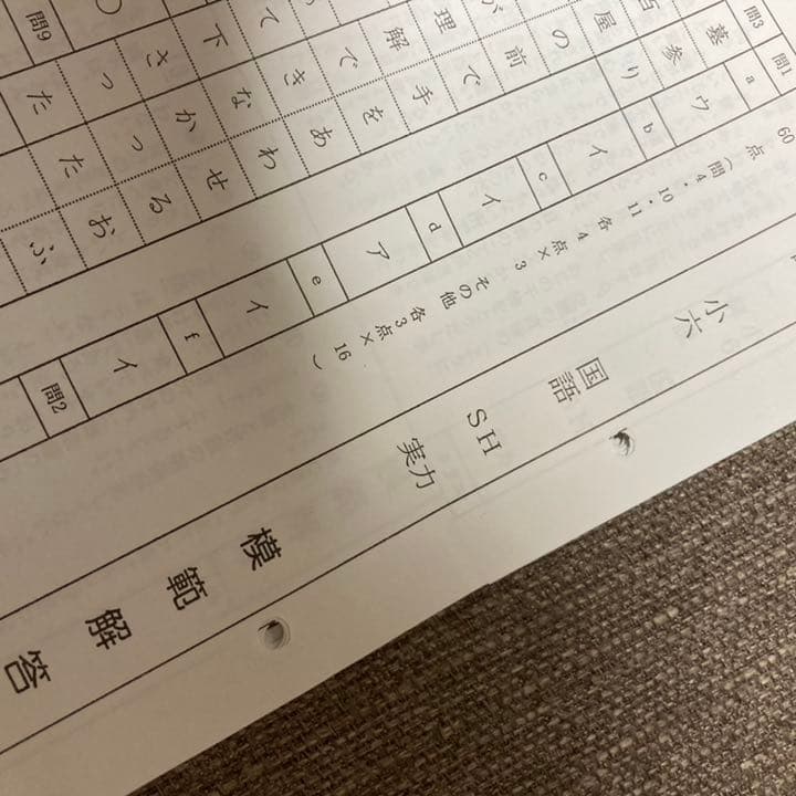 no22503103_【浜学園】小6国語　復習テスト・年間フルセット　おまけ付！
