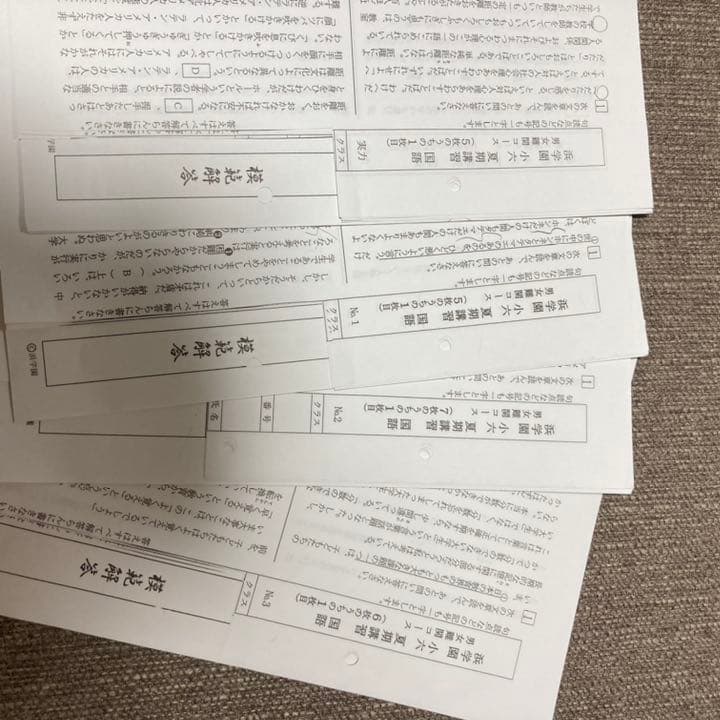 no22503103_【浜学園】小6国語　復習テスト・年間フルセット　おまけ付！