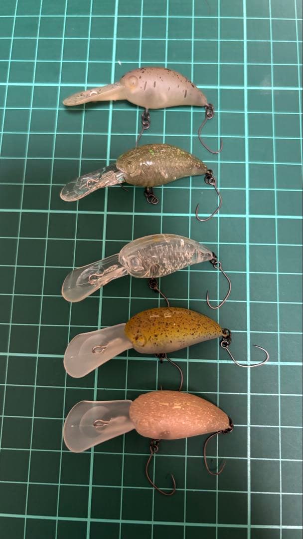 ティモン　パニクラ　DR MR ロデオコラボ