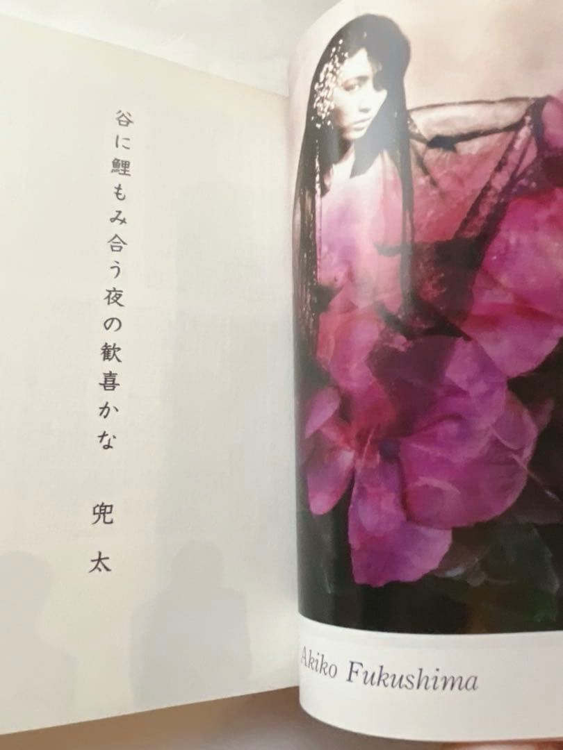 俳句世界　8冊セット