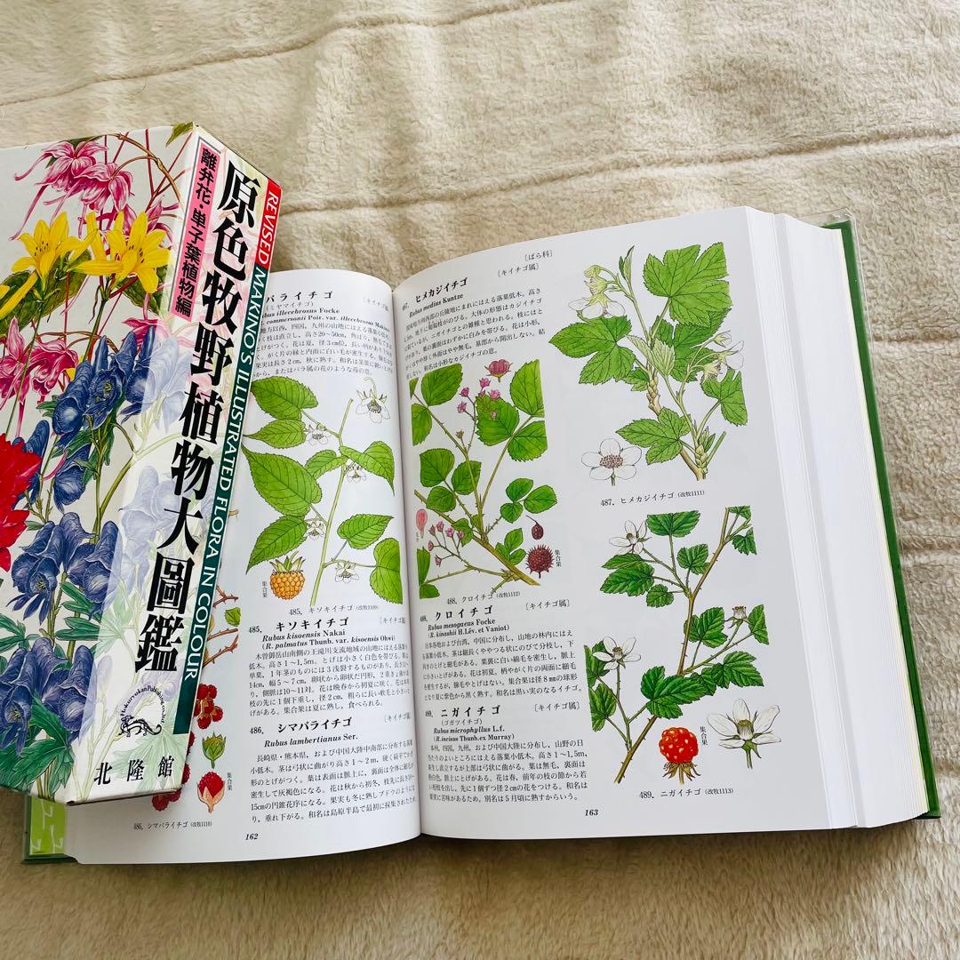 牧野日本植物図鑑 3巻セット