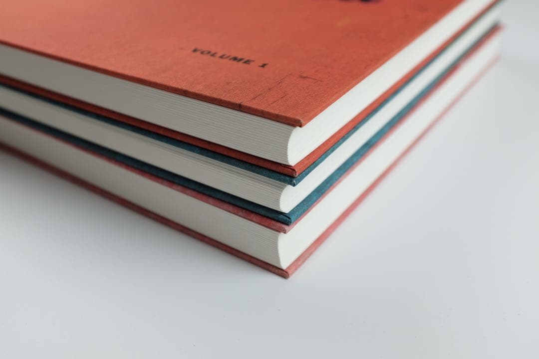 WILLIAM EGGLESTON 「LOS ALAMOS REVISITED」