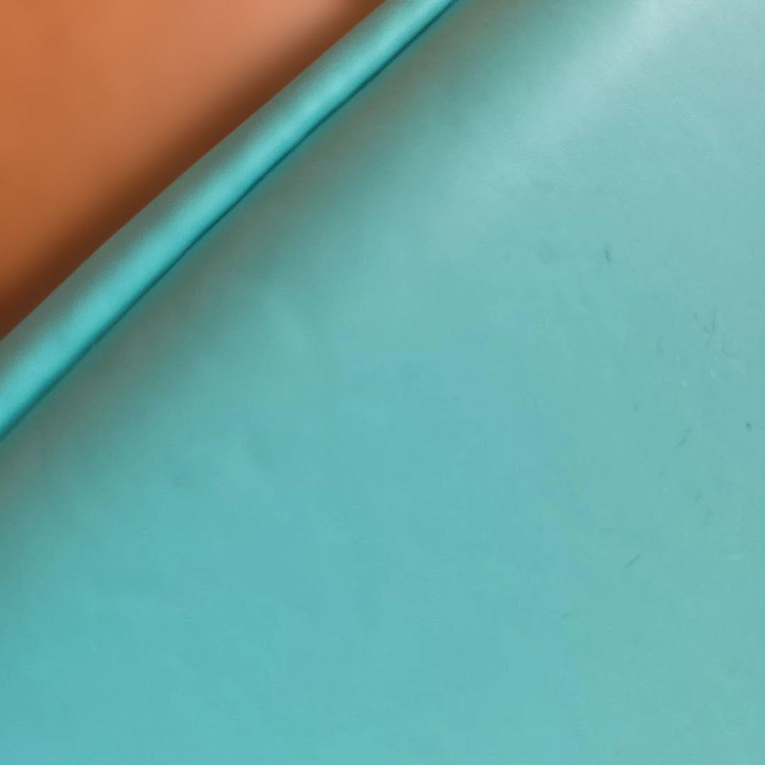 Nintendo Switch Lite本体　専用ケース付き