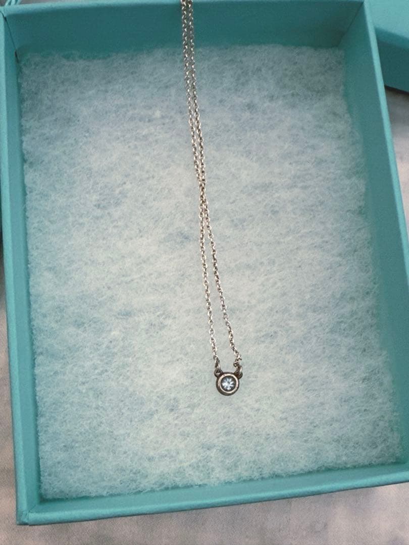 Tiffany& Co. ネックレス