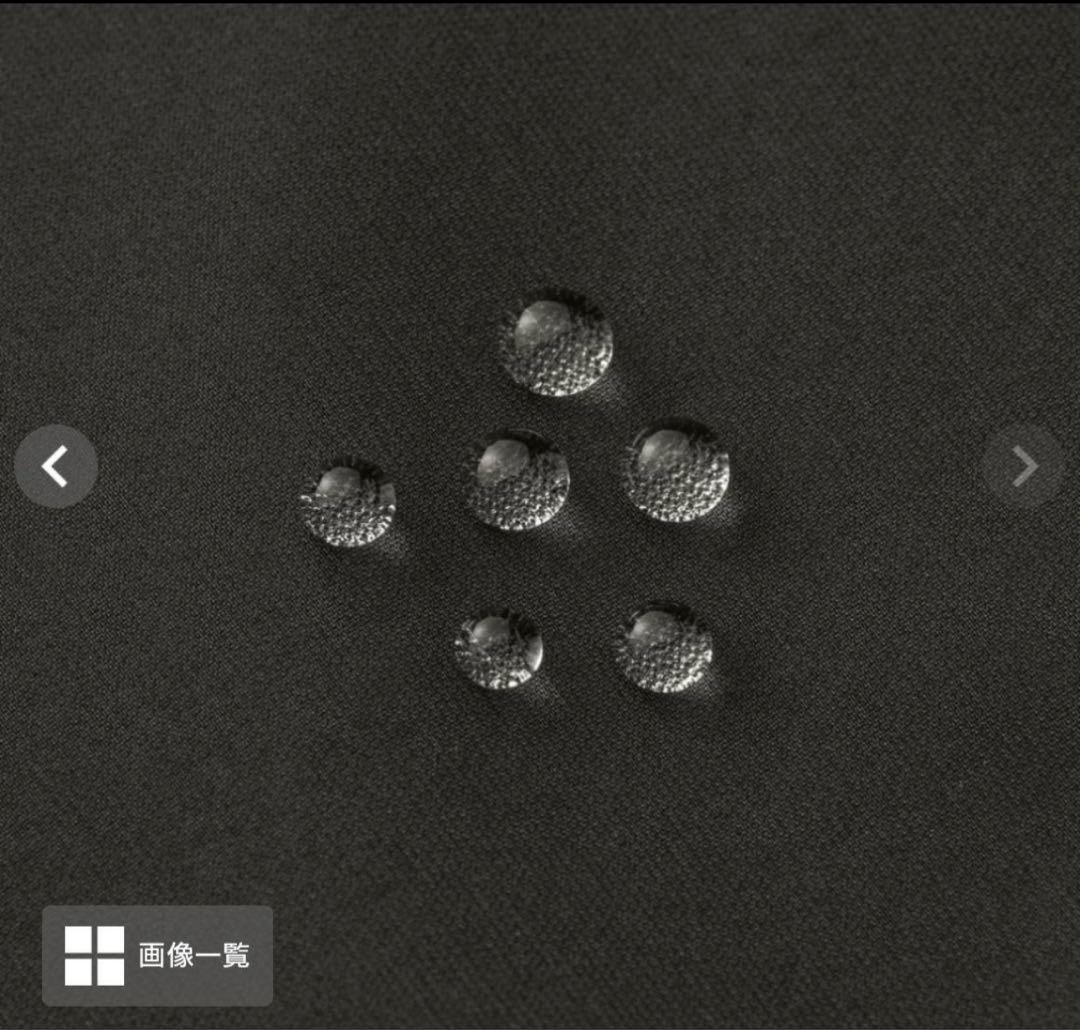 新品 THE NORTH FACE GORE-TEXジャケット L スノーボード