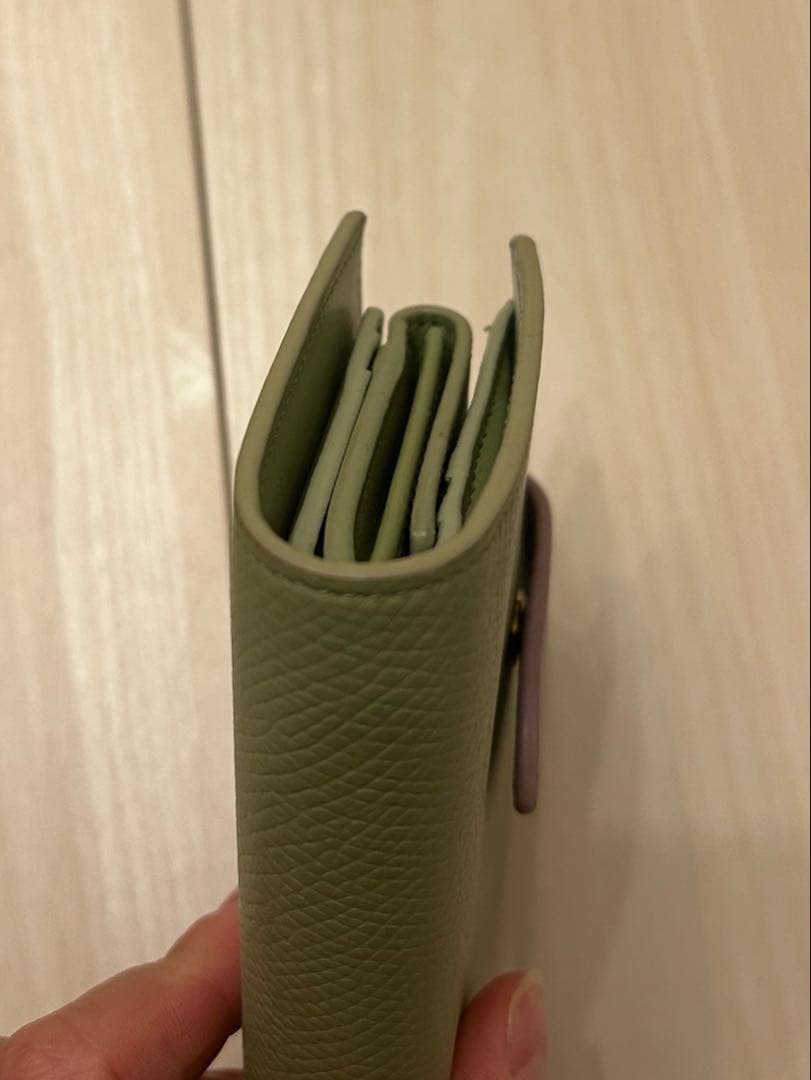 CELINE　セリーヌ　スモールストラップウォレット　セージ