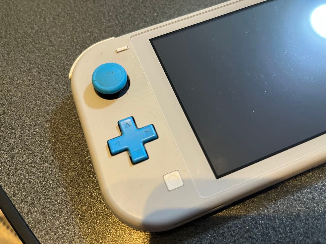 Nintendo Switch Lite グレー ケース付き（ポケモン）