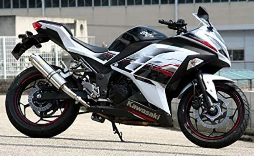 Realize カワサキ ニンジャ250 Aria カール(TypeC)マフラー