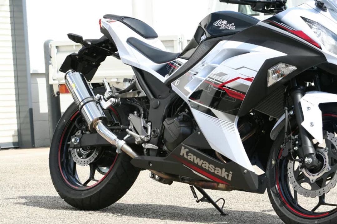 Realize カワサキ ニンジャ250 Aria カール(TypeC)マフラー