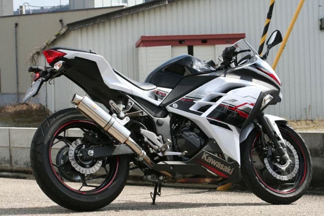 Realize カワサキ ニンジャ250 Aria カール(TypeC)マフラー