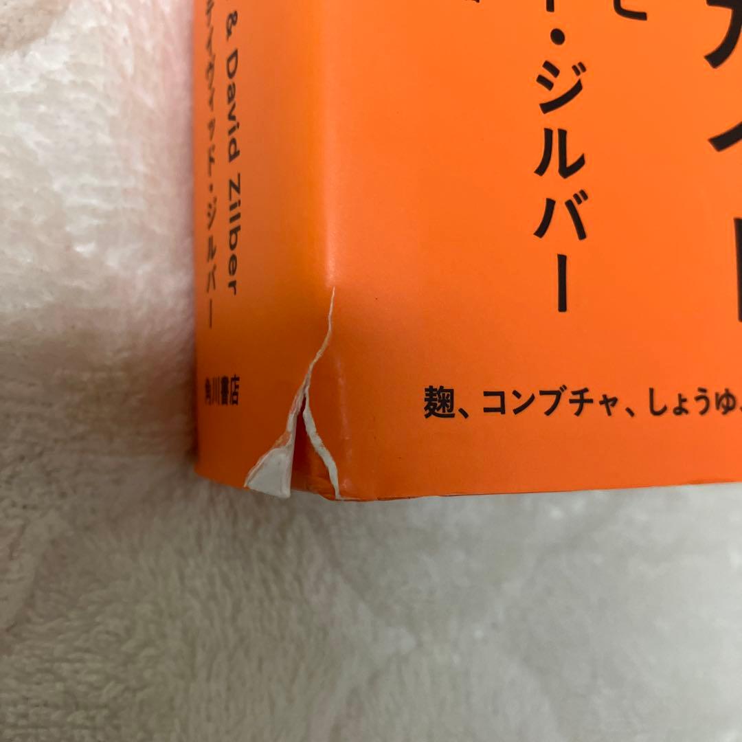 ボ*ボ様 The Noma Guide to Fermentation