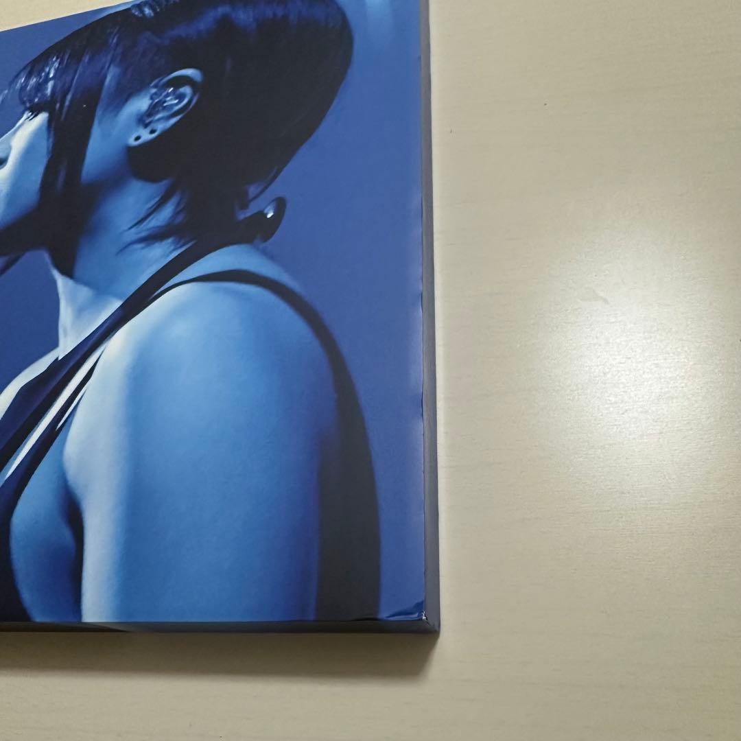 宇多田ヒカル Laughter in the Dark Tour 完全生産限定