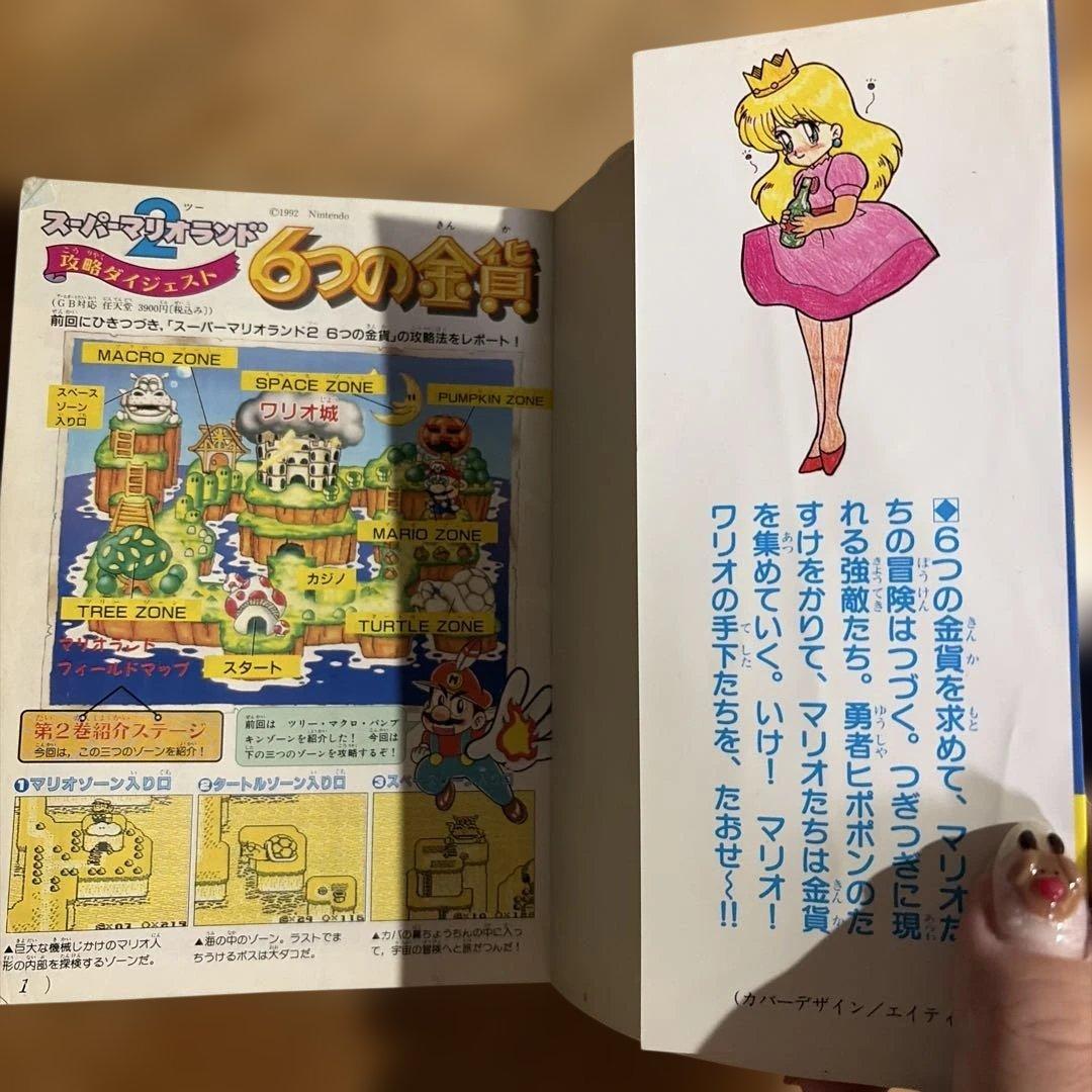 スーパーマリオランド2 6つの金貨