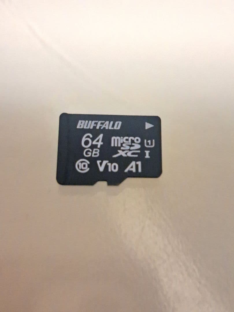 Nintendo Switch Lite　64GB メモリーカード 付き