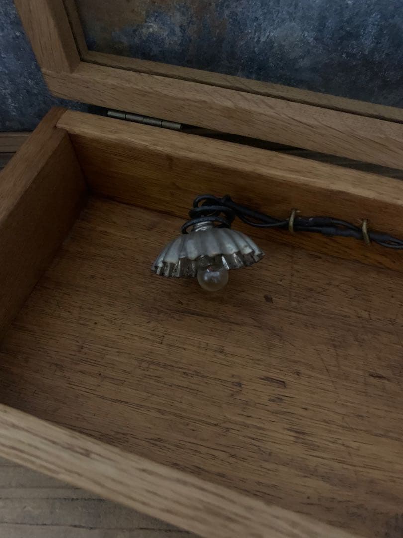 ② ガラスケース アンティークミニモールドのシェードランプ