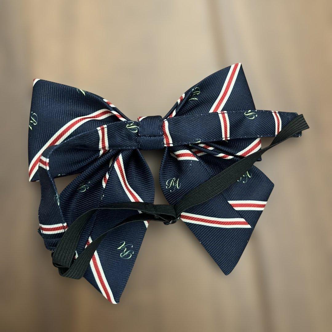 卒服レピピアルマリオ2025 セーラージャケットLサイズ4点セット