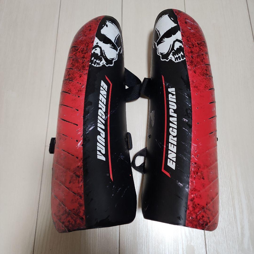 ENERGIAPURA シンガード　スキー　アルペン　SL