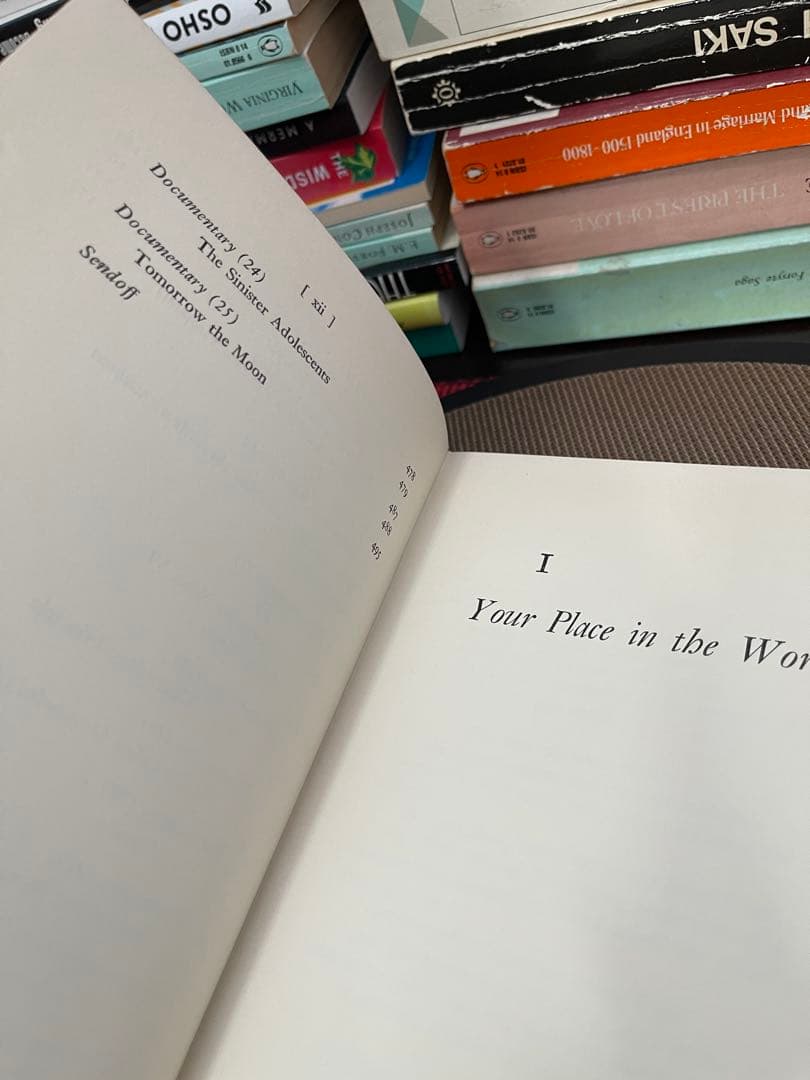 希少　Dos Passos Mid-century