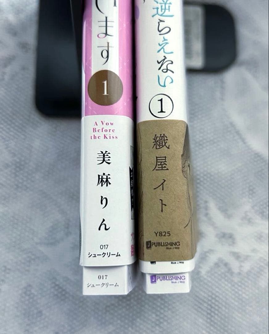 「年上小説家の誘惑には逆らえない〜1巻」