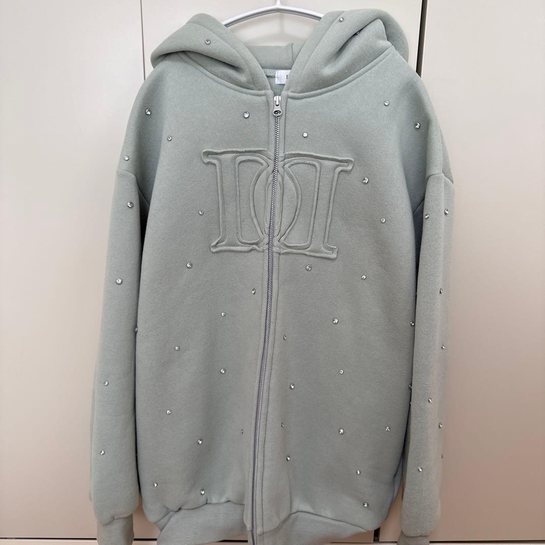 Darich ダーリッチ DDロゴビジュージップパーカー MNT ミント