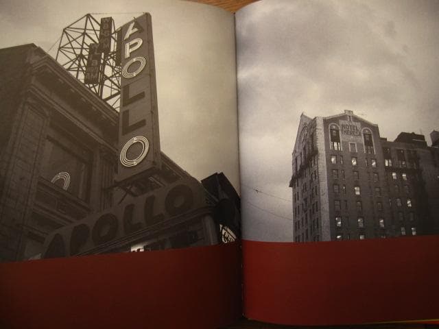 American Photography 13　Robert Priest