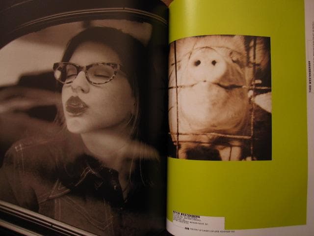 American Photography 13　Robert Priest