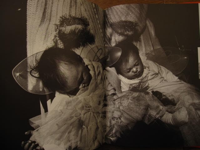 American Photography 13　Robert Priest