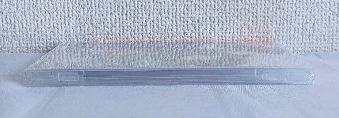 Nintendo Switch版　剣が君 for S（通常版）+特典