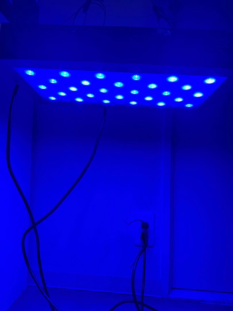 LEDサンゴ育成ライト 55個搭載