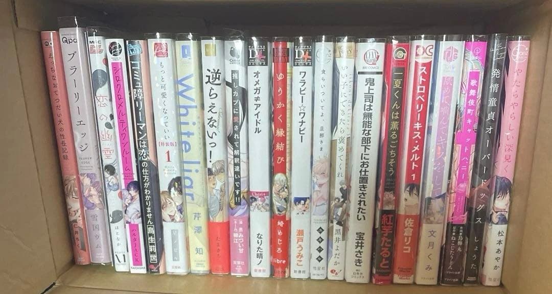 BL漫画 BLコミック まとめ売り バラ売り