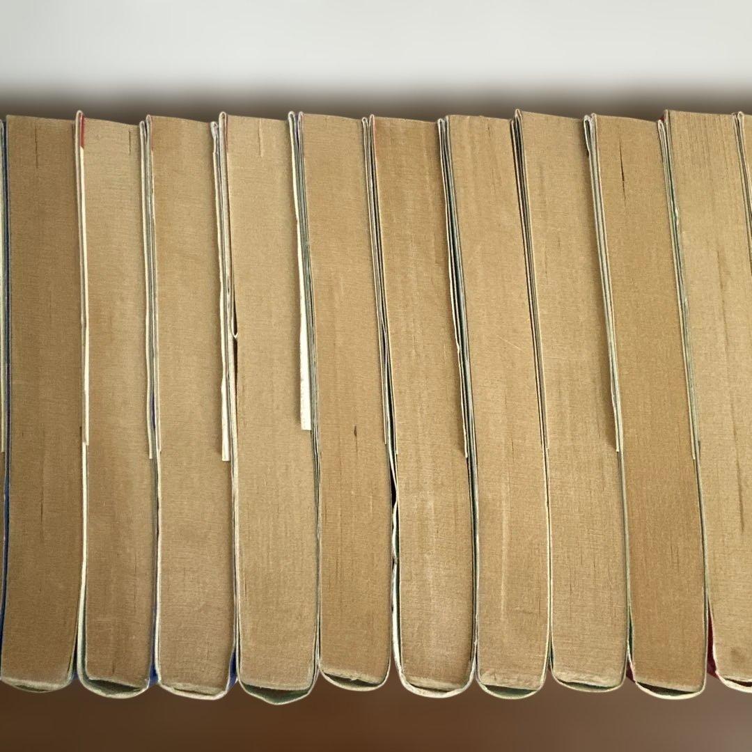 ピグマリオ　全27巻セット　和田慎二 バラ売り不可