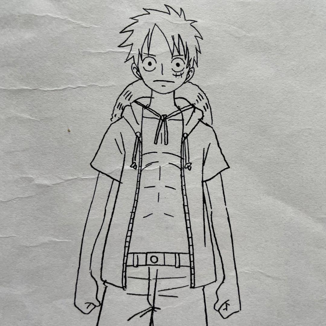 決定稿 1枚 設定資料 モンキー・D・ルフィ Monkey D. Luffy