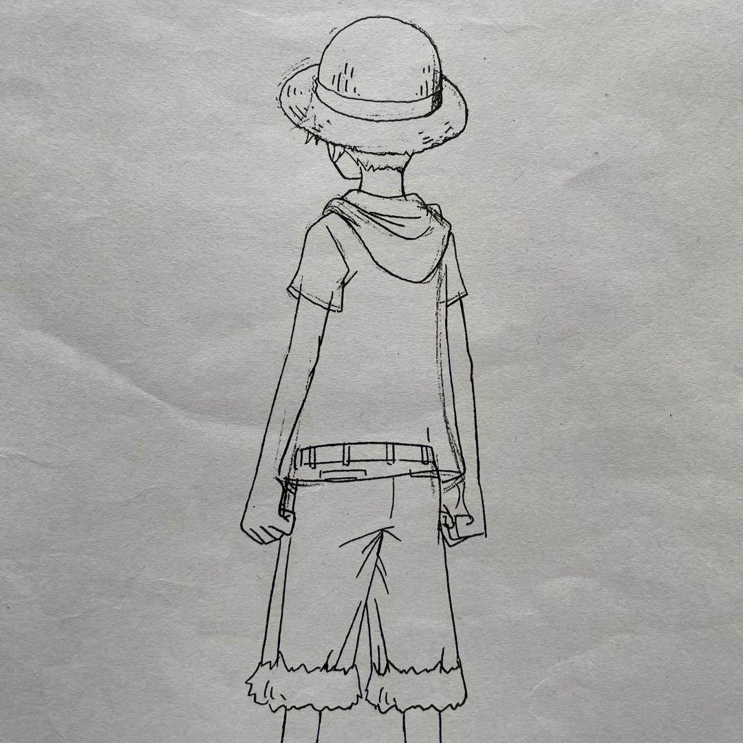 決定稿 1枚 設定資料 モンキー・D・ルフィ Monkey D. Luffy